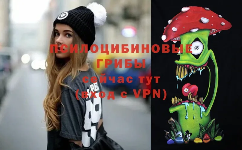 Псилоцибиновые грибы Magic Shrooms  где продают   Миллерово 